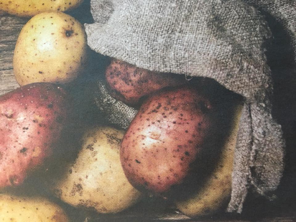 Har du potatisskräck?