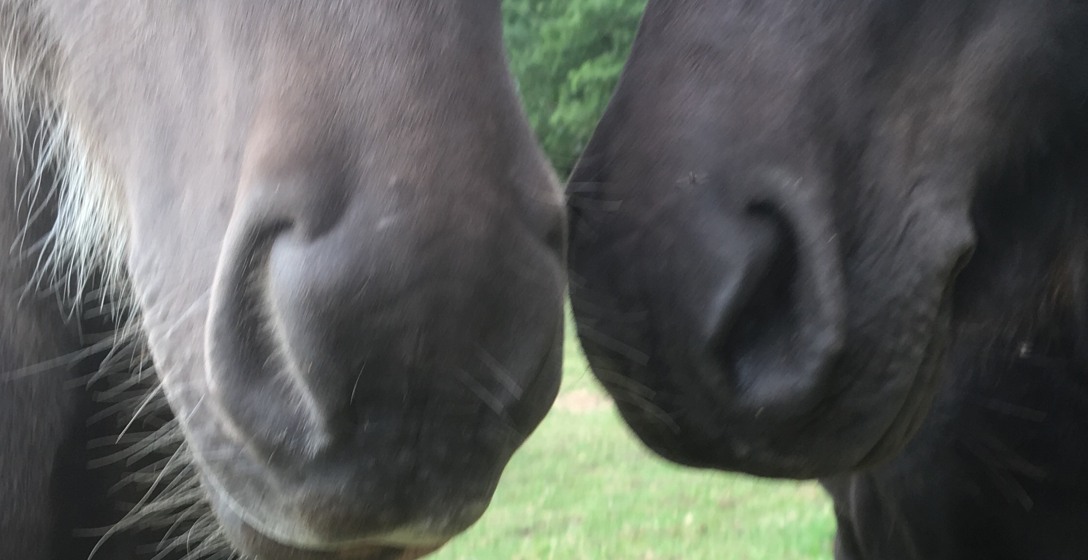 IMG_7032 (redigerad)