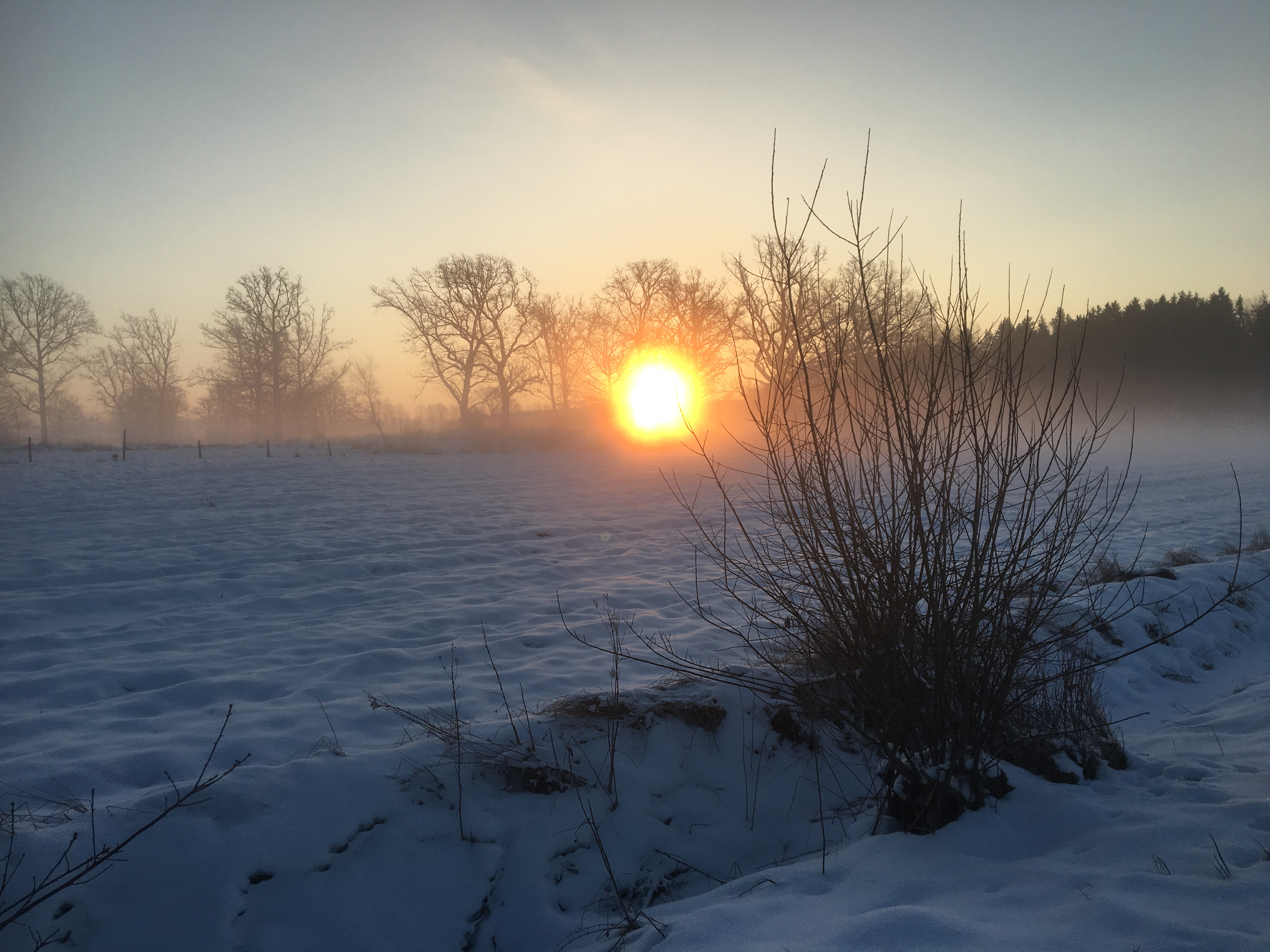 22EA67F6-A2C3-4F8E-9706-D2D2EAABAC42