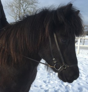 726863E0-1BFA-4EEA-A305-1A5700DC261E