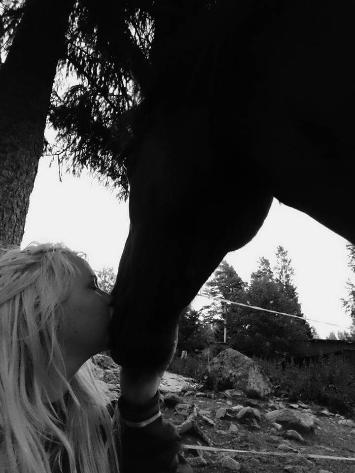 Efterlysning: En ”vuxen” storhäst-ryttare