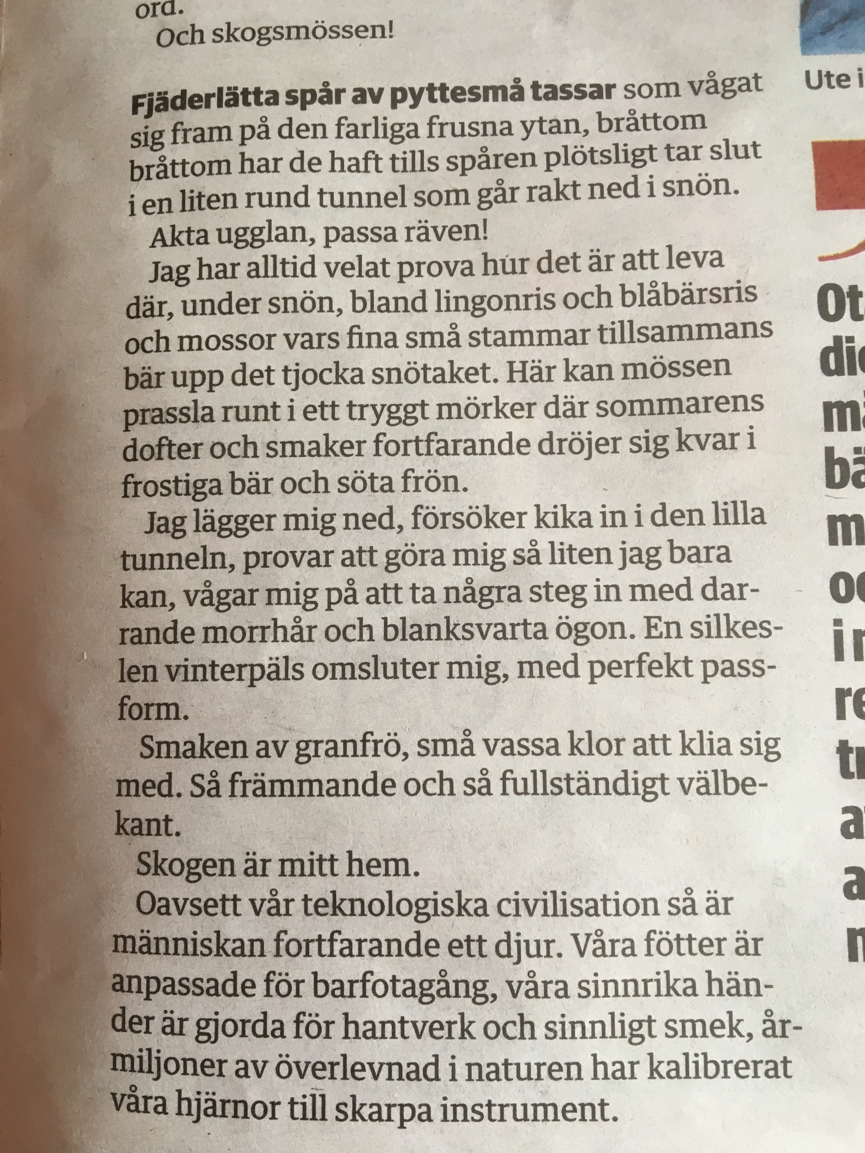 E8FC0BB9-46C1-4294-B8AA-C4C07A001BEC