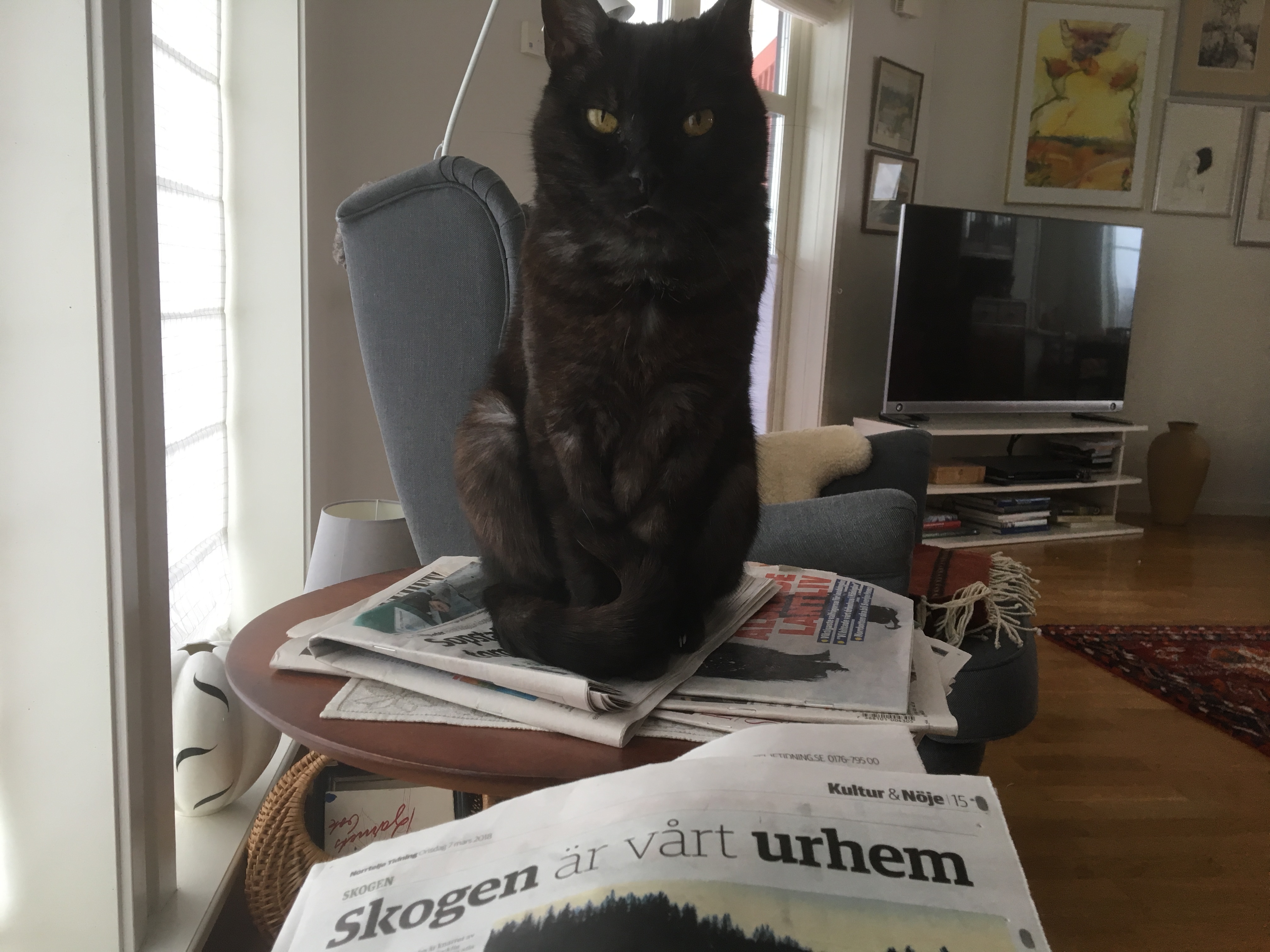 F7072EB5-FA67-4E94-9C3B-EE4F60FF8060