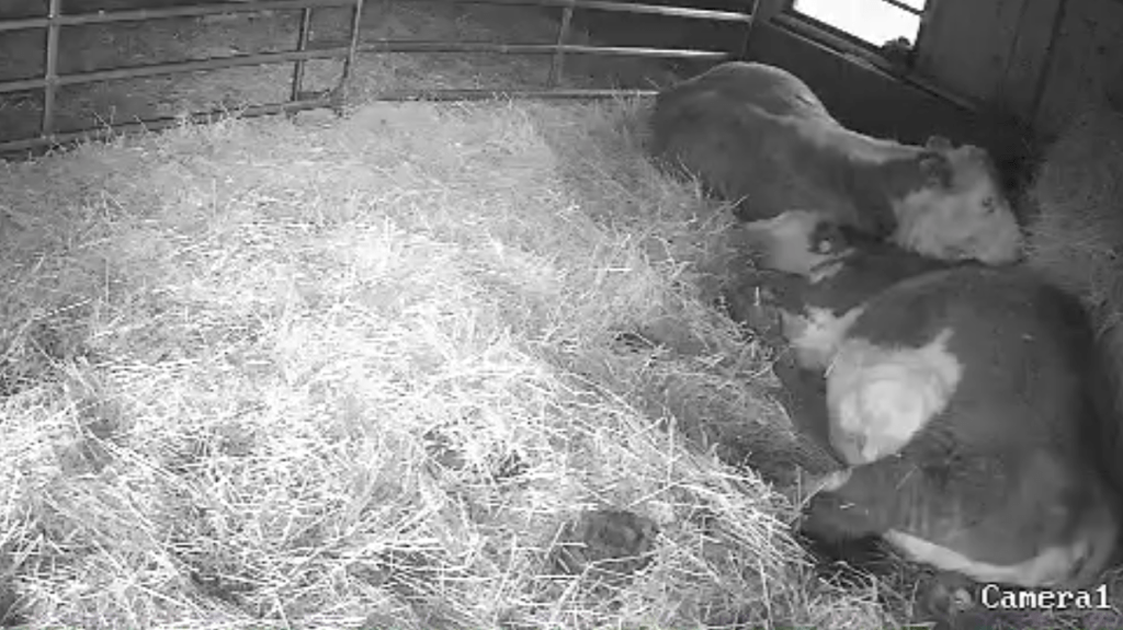 Det är nära&nbsp;nu