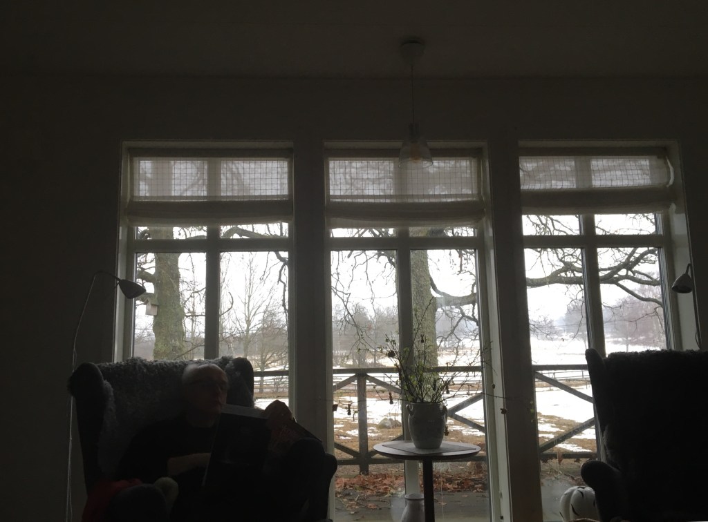 Vi borde kura skymning&nbsp;oftare…