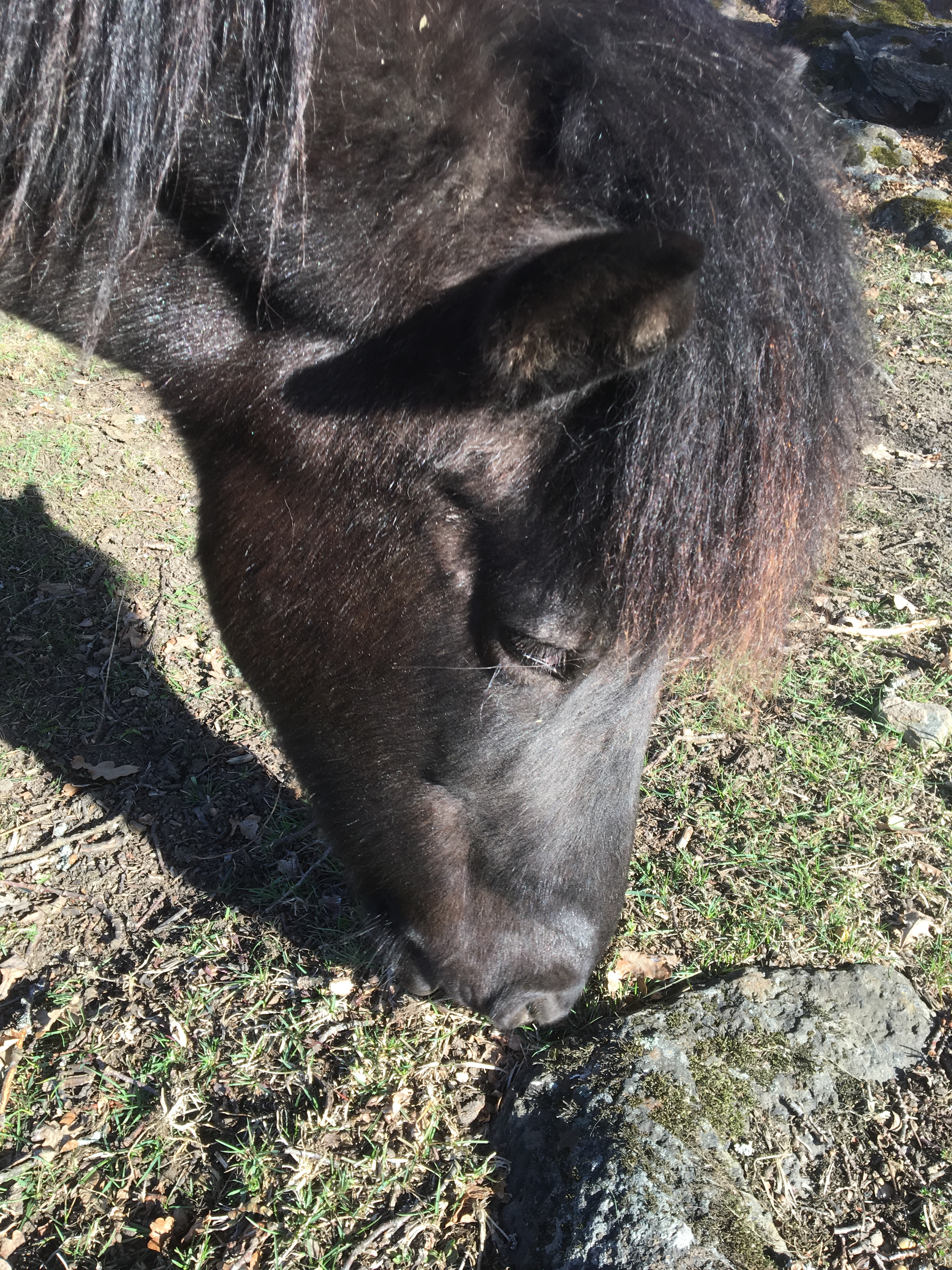 2D745CE5-B7DD-4022-9534-5BC50CC038E2