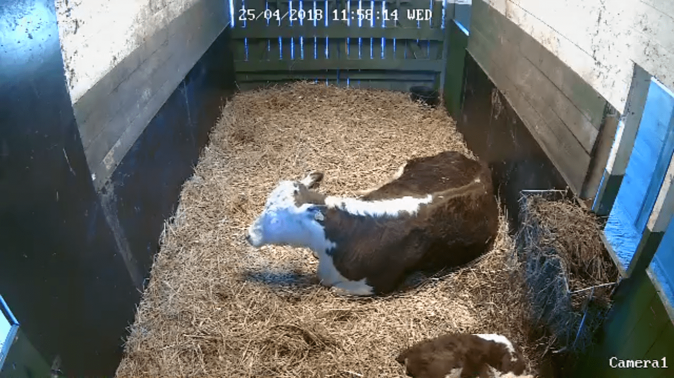 4359F7DC-DF04-4786-9881-85D3DF3E8C65