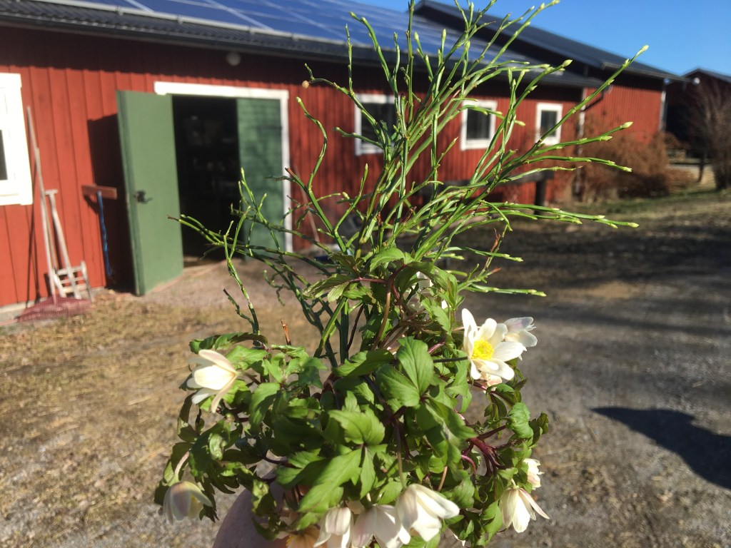 Livets ”tack” för att jag står&nbsp;ut…