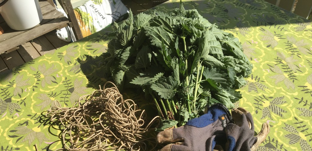 Hjälp! Jag ska hålla föredrag på&nbsp;tisdag