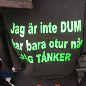 inte dum