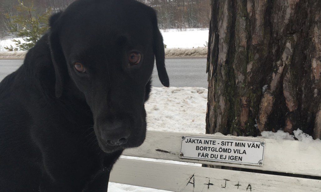 Slutstressat; vågar jag påstå&nbsp;det?