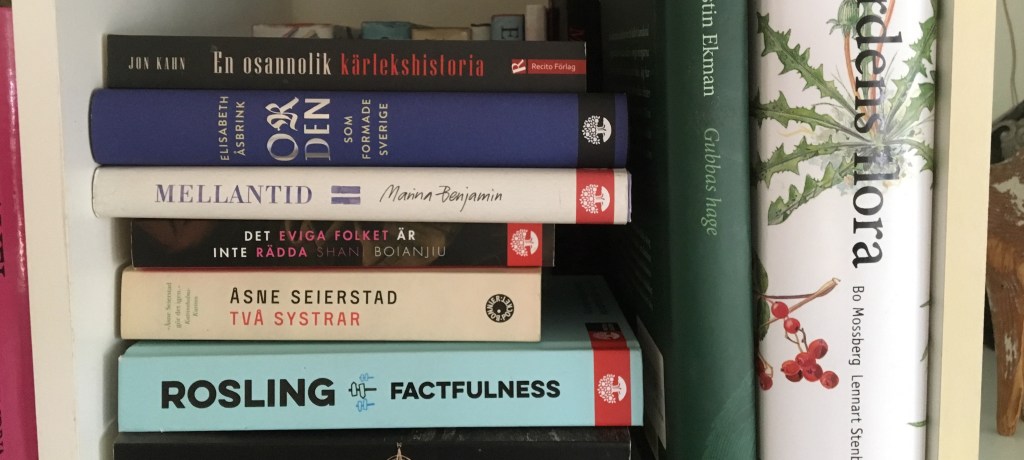 Först nu har jag läst en HEL bok