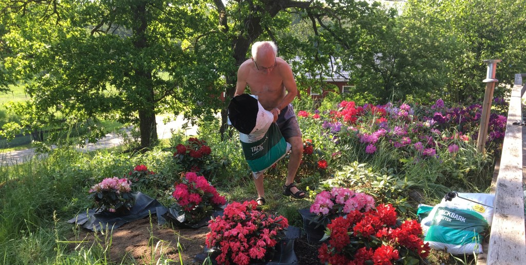 Vissa dagar går för&nbsp;fort…