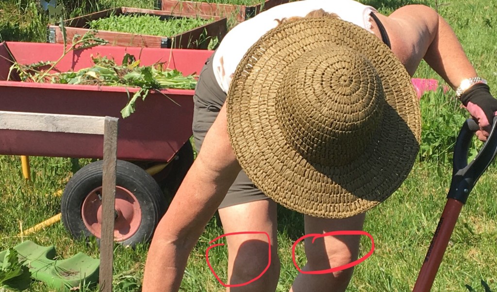 Väljer hängmatta framför&nbsp;trädgårdssäng