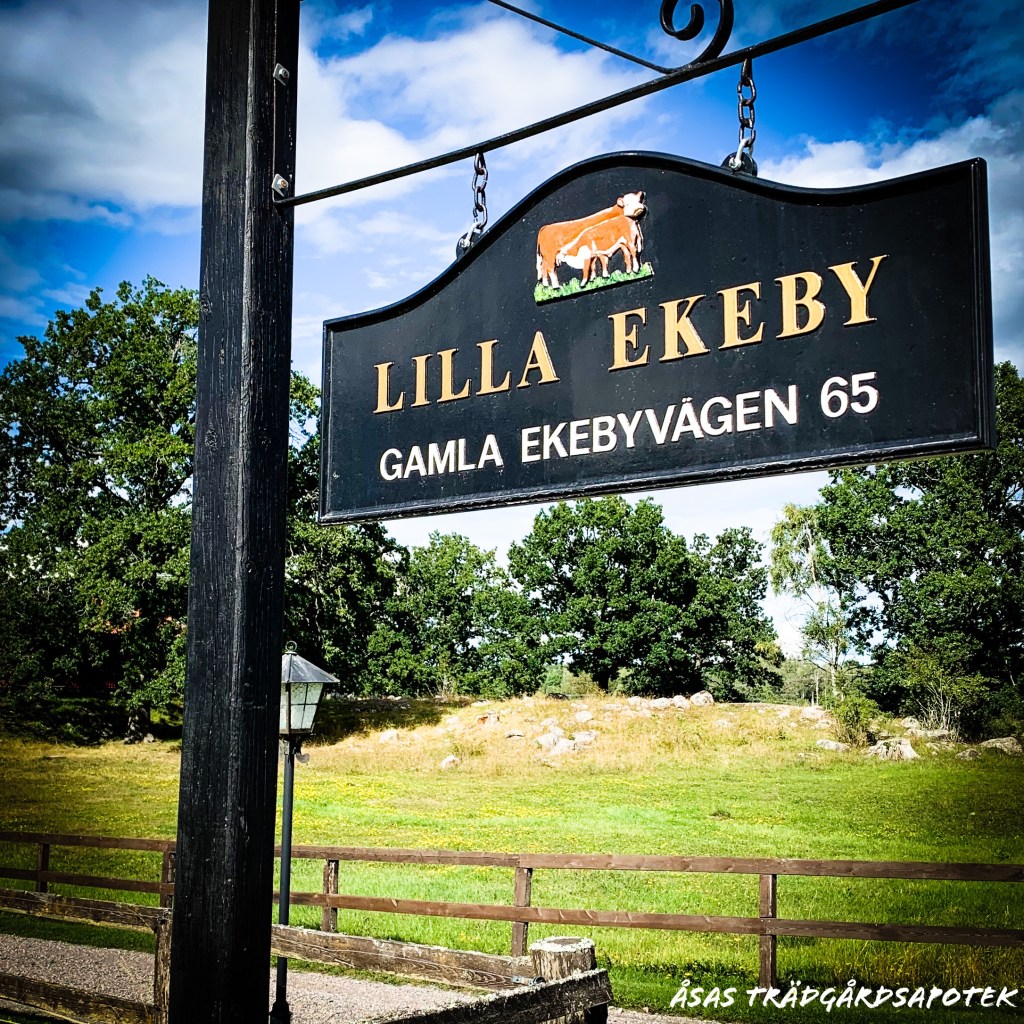 En vanlig söndag på&nbsp;landet