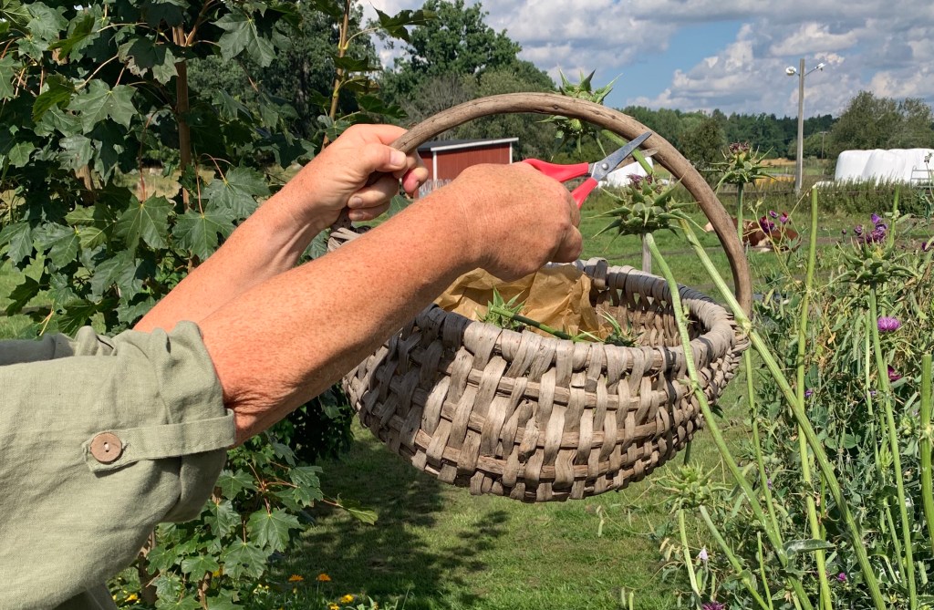 Jag vs Mariatistel; 1- 0&nbsp;eller…