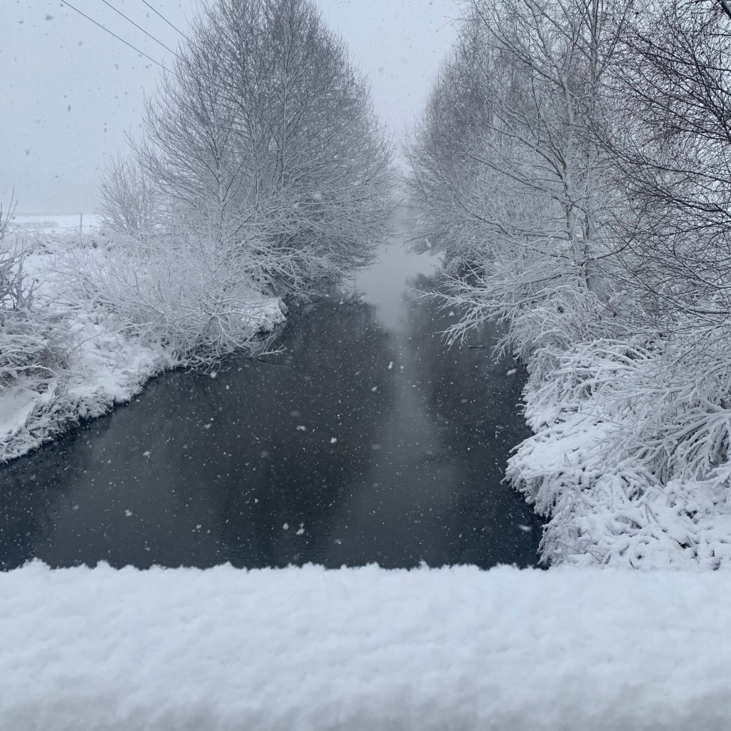 Vidrigt eller underbart?